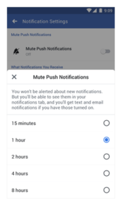 Facebook mute push notifications screen